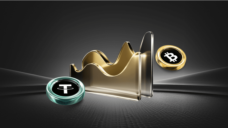 BONK’s Resilience Amidst Market Volatility: An In-Depth Analysis